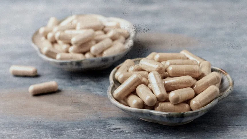 Is Ashwagandha the Solution for Sleep, Stress, and Focus?