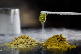 Brewing with Cryo® Hops
