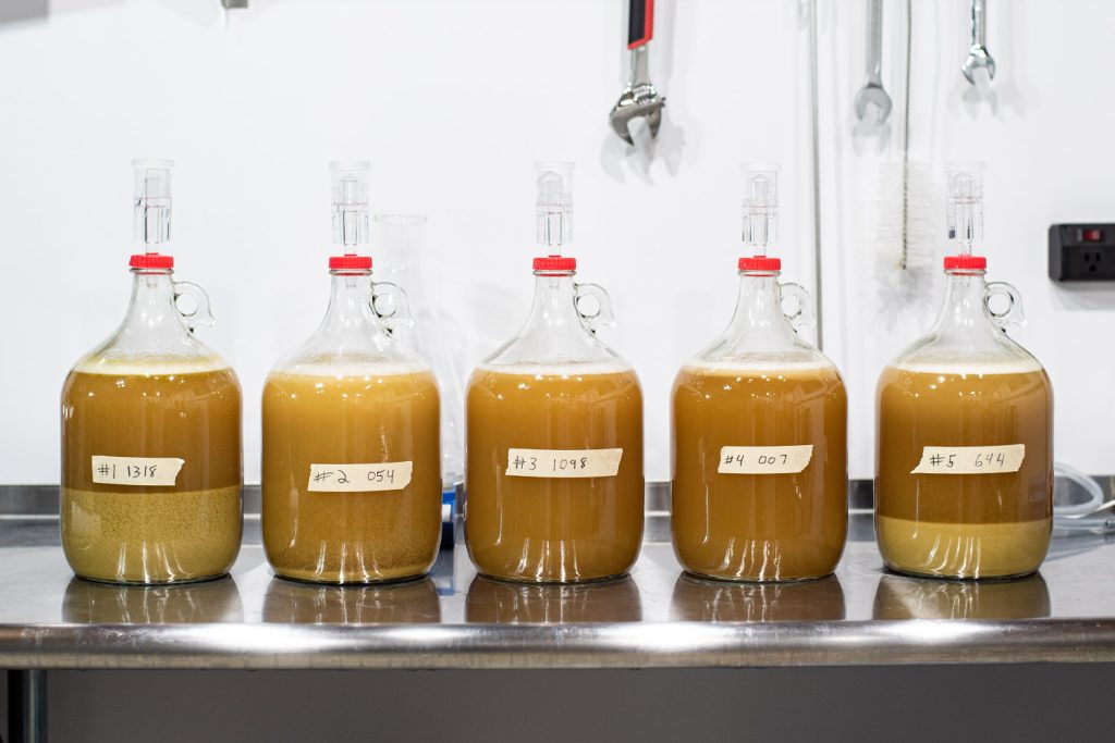 Evaluating 5 White Labs Yeast Strains for Hazy IPAs